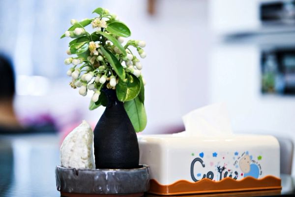 Lọ hoa bưởi dịu dàng hương thơm trên bàn ăn tạo nên những nét vô cùng tinh tế cho toàn bộ không gian.